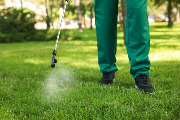 Wildlife Control Services in Albion, IL