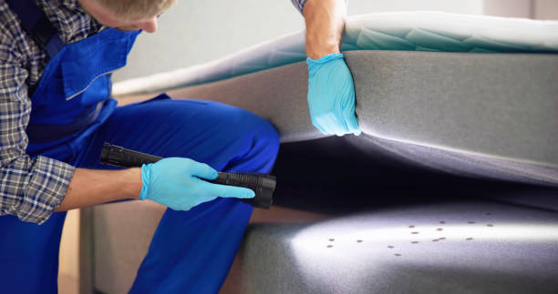 Pest Control Cost in Albion, IL