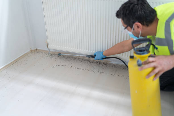 Best Mosquito Control Services  in Albion, IL